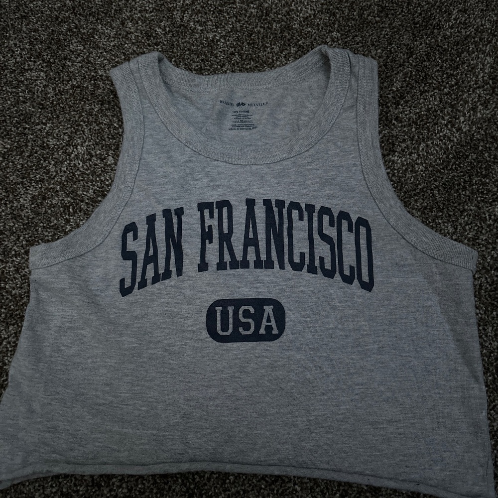 Gray and Blue Brandy Melville Tank